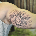 Tattoos - Phylogenic Tree on Bicep- Instagram @michaelbalesart - 122175